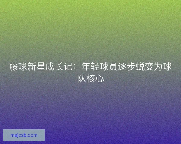 藤球新星成长记:年轻球员逐步蜕变为球队核心 藤球新星成长记:年轻球员逐步蜕变为球队核心